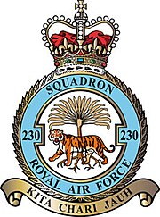 Squadron badge