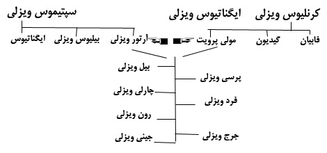 شجره نامه خانواده‌های پریوت و ویزلی که به هم منتهی می‌شود.