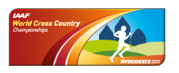 Description de l'image Logo Bydgoszcz 2013.png.