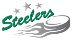 Description de l'image Bietigheim_Steelers_logo.svg.