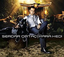 SerdarOrtacKaraKedi2010.jpg