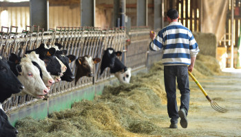 Eén op drie landbouwers vreest vroegtijdig te moeten stoppen in de komende vijf jaar