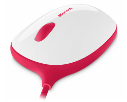 Microsoft Express mouse