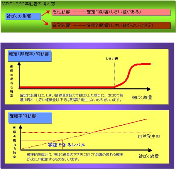 被ばく影響