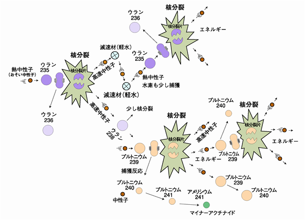 核分裂