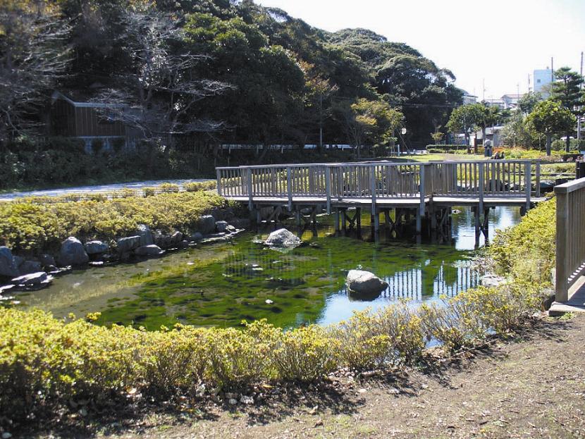 泉が森湧水及びイトヨの里泉が森公園