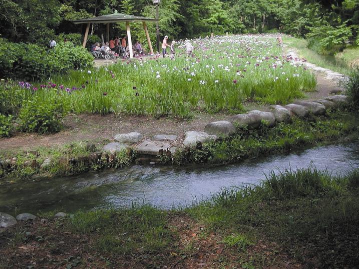 行田の沢清水