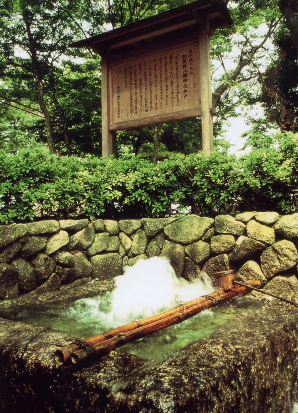 加賀野八幡神社井戸