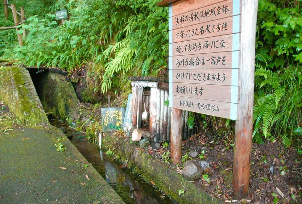 大杉の清水