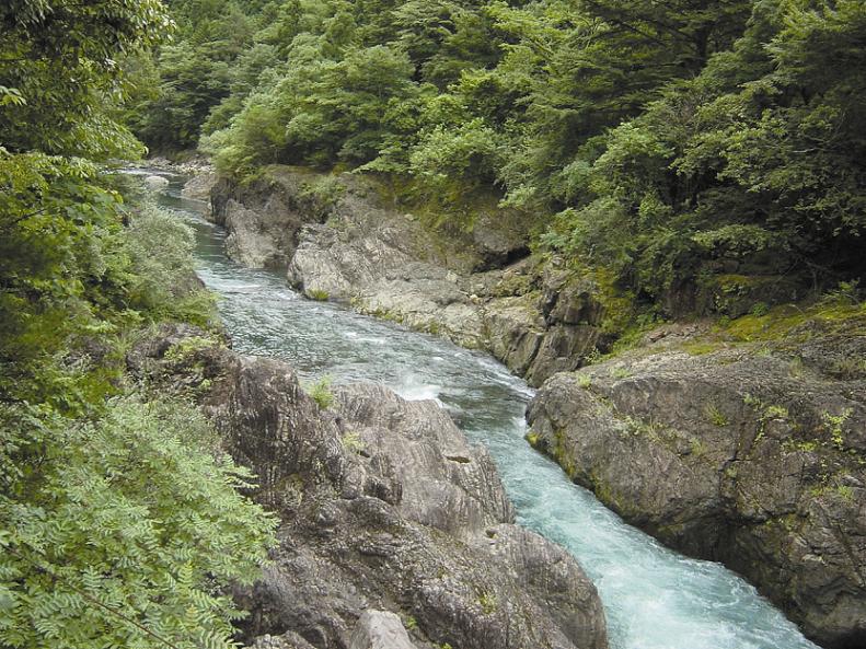 海部川