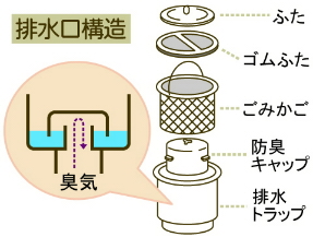 排水トラップ