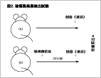 破傷風