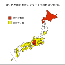 アライグマ回虫による幼虫移行症