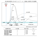 B型肝炎