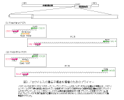 ノロウイルス感染症