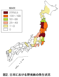 野兎病