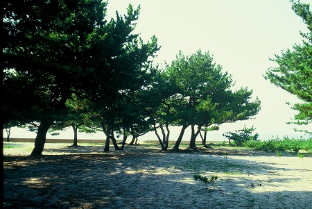 慶野松原海水浴場