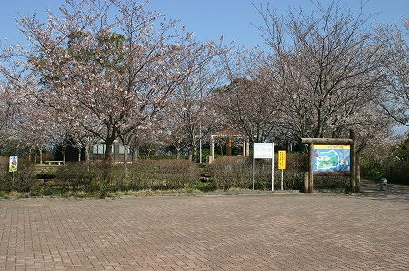 瀬会海水浴場