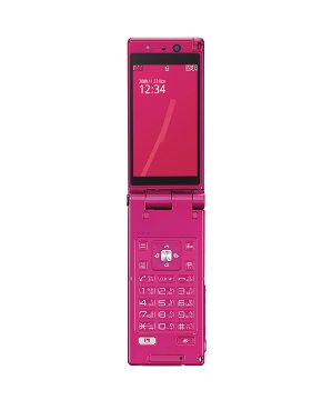 docomo PRIME series P-01B