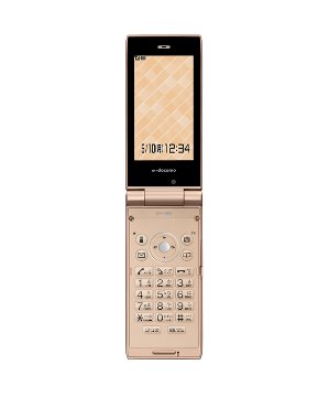 docomo STYLE series SH-06B