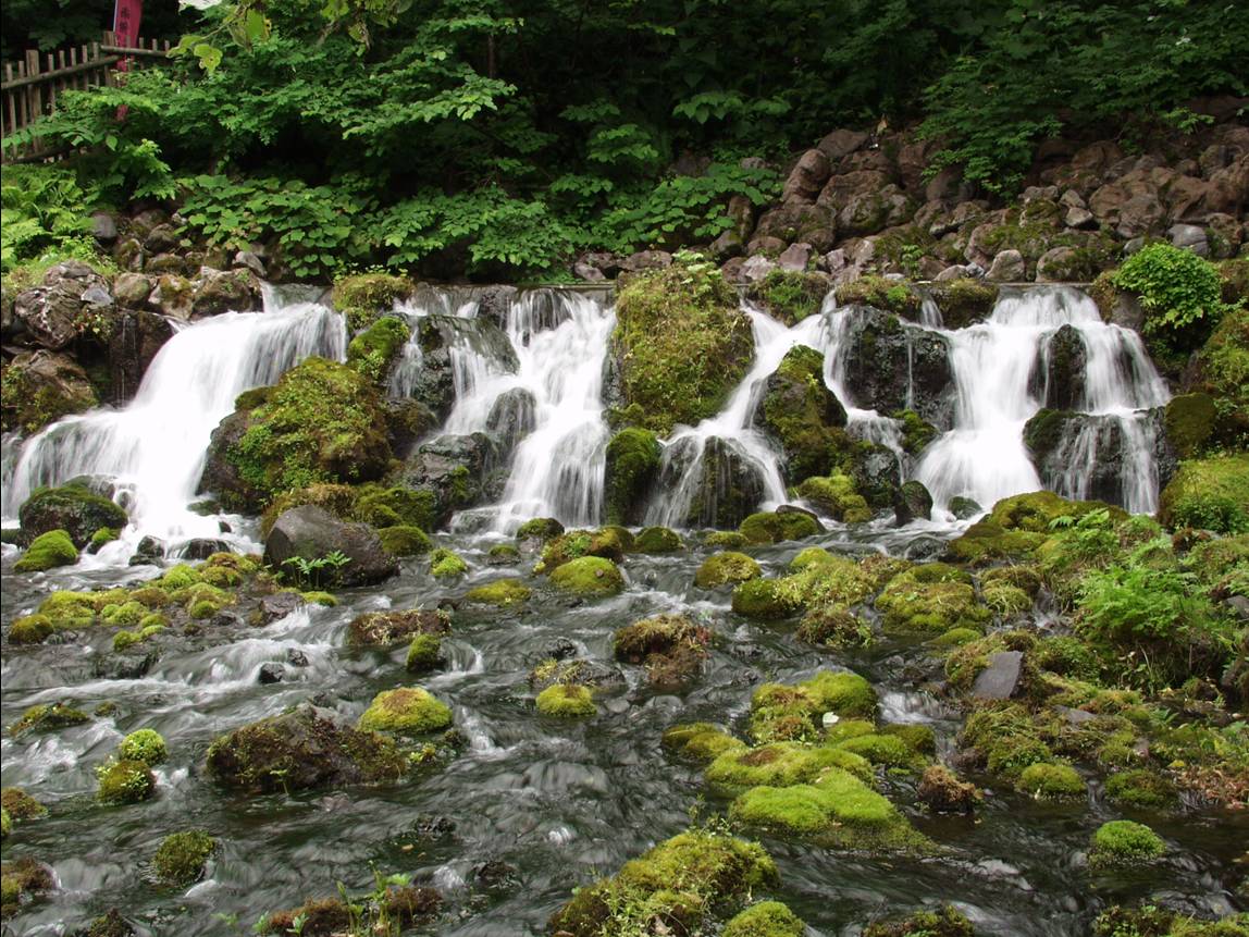 羊蹄のふきだし湧水