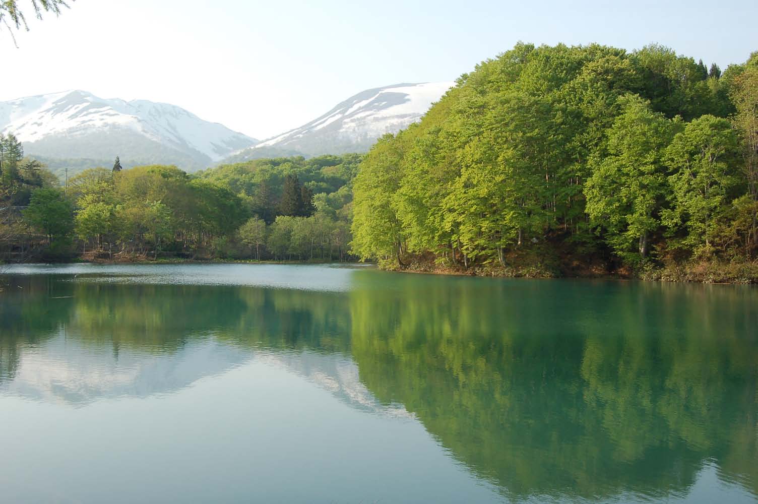 月山山麓湧水群