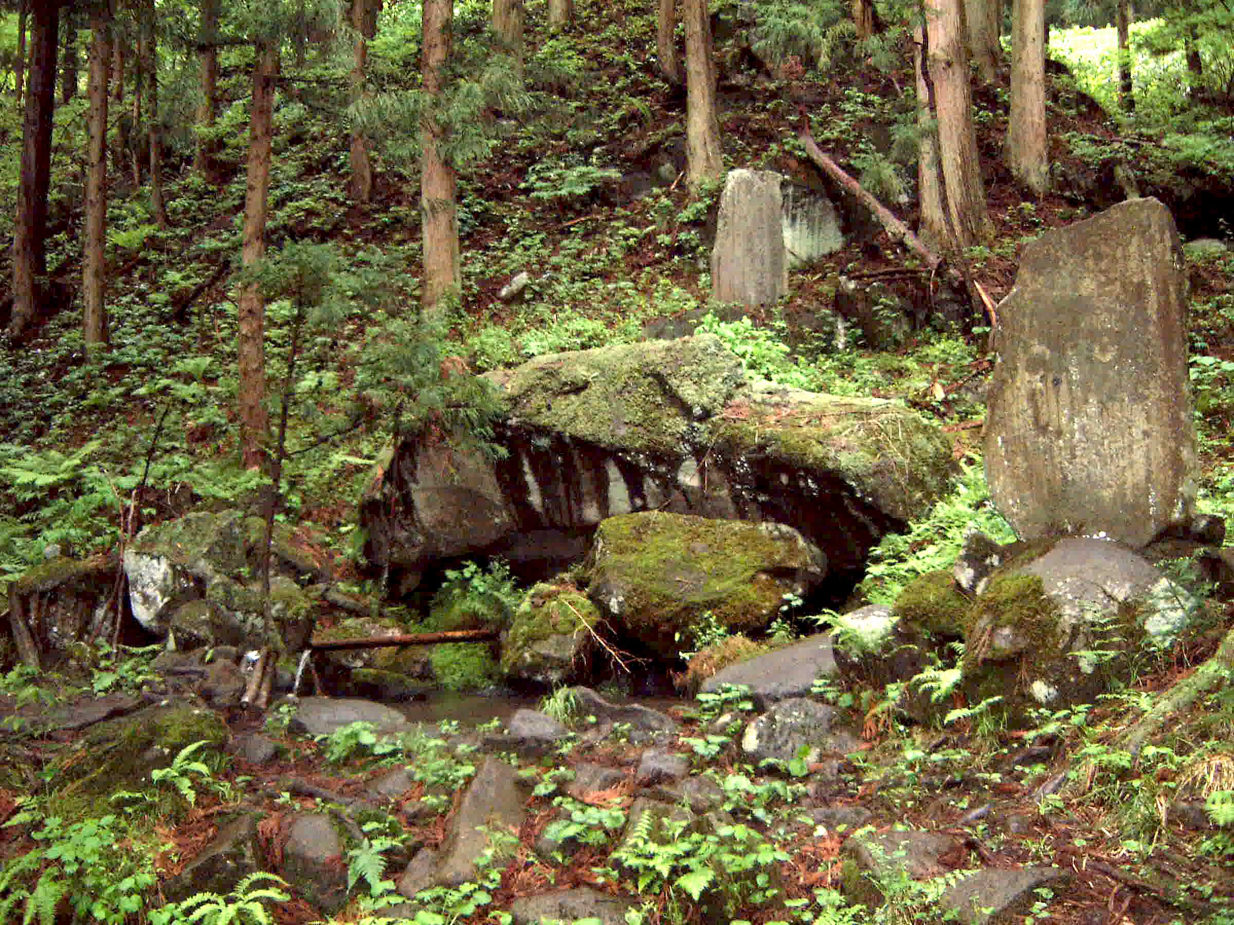 磐梯西山麓湧水群