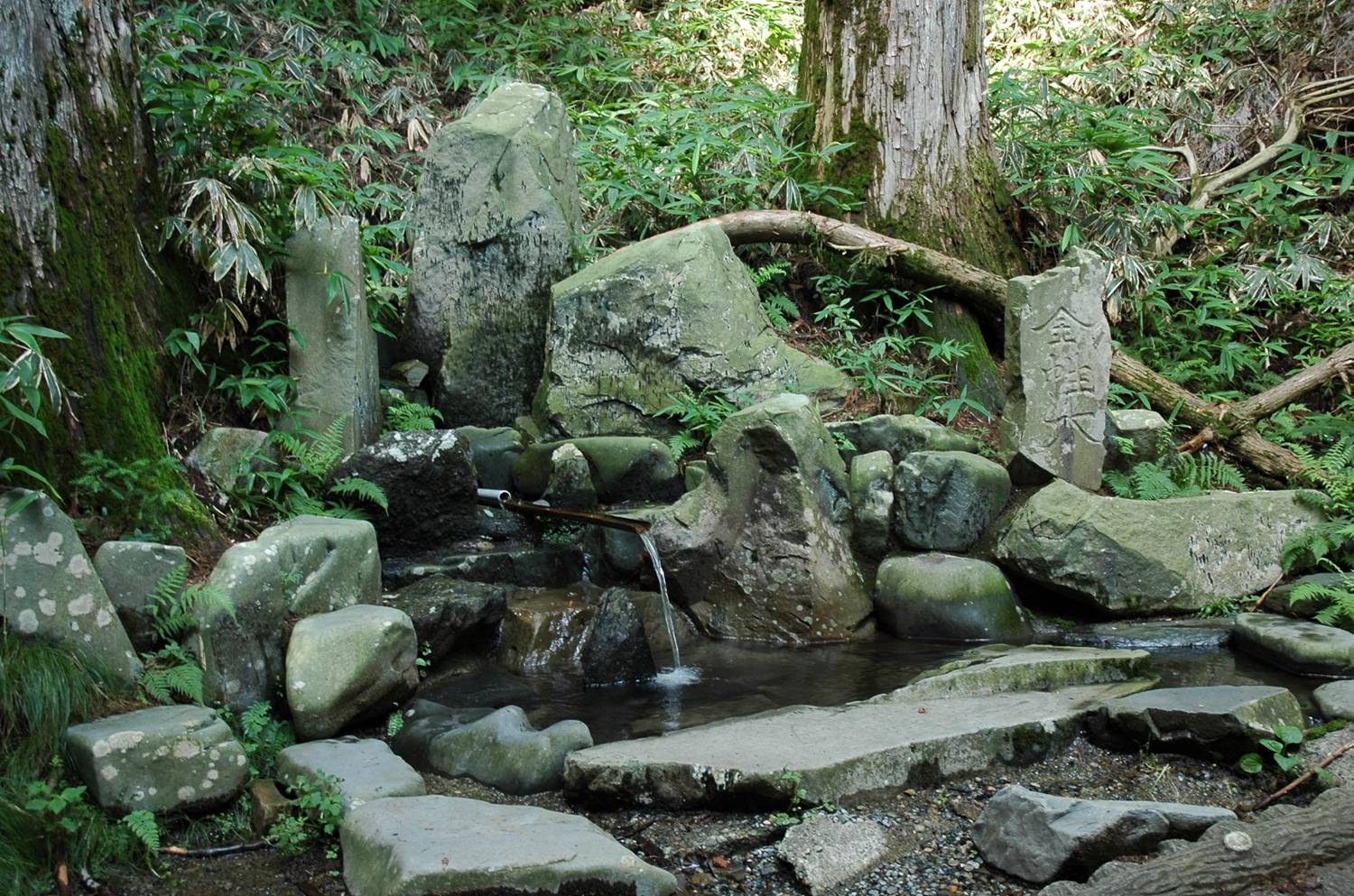 八溝川湧水群