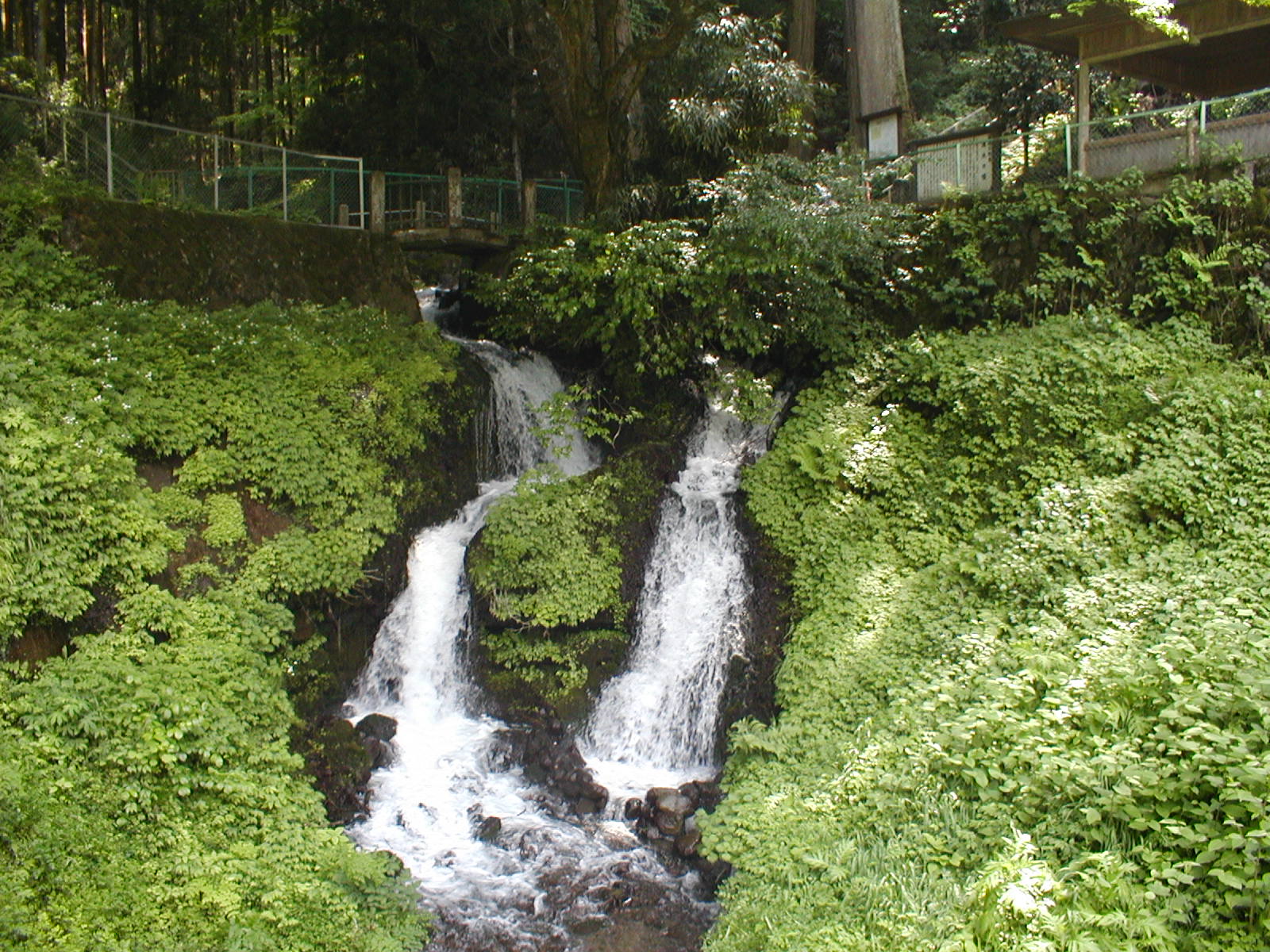 箱島湧水