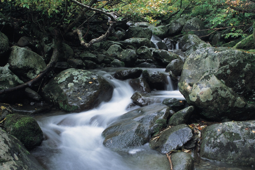 杜々の森湧水