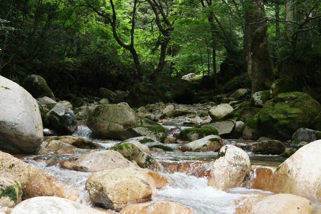 寂地川