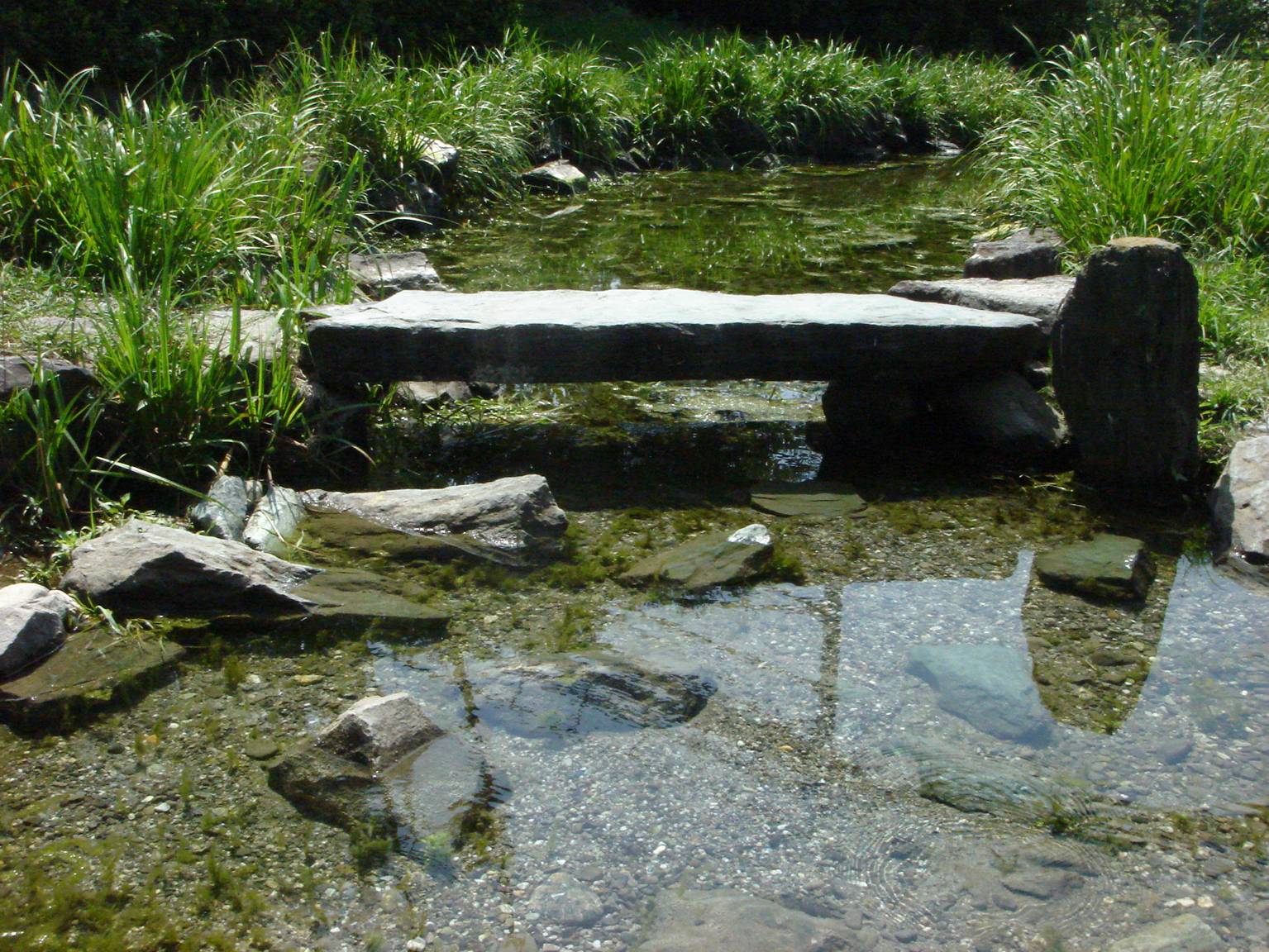 江川の湧水