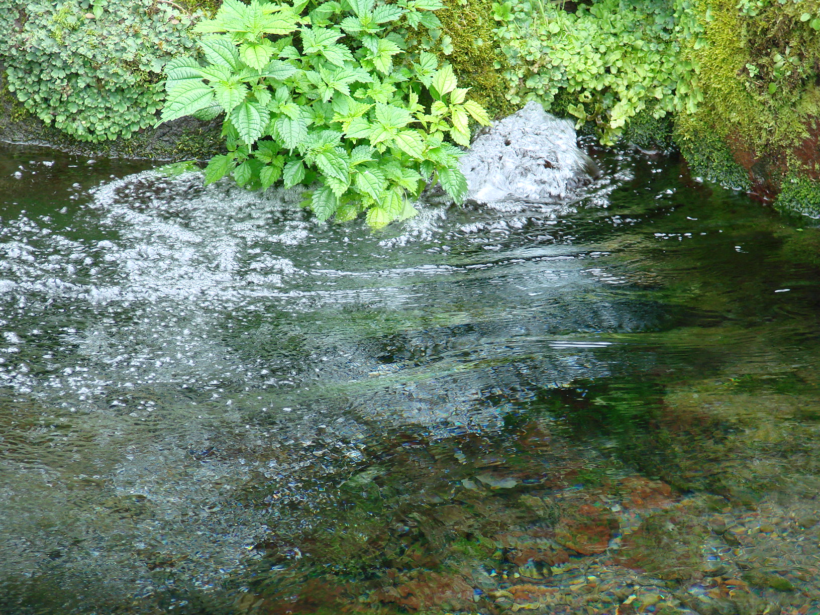 出の山湧水