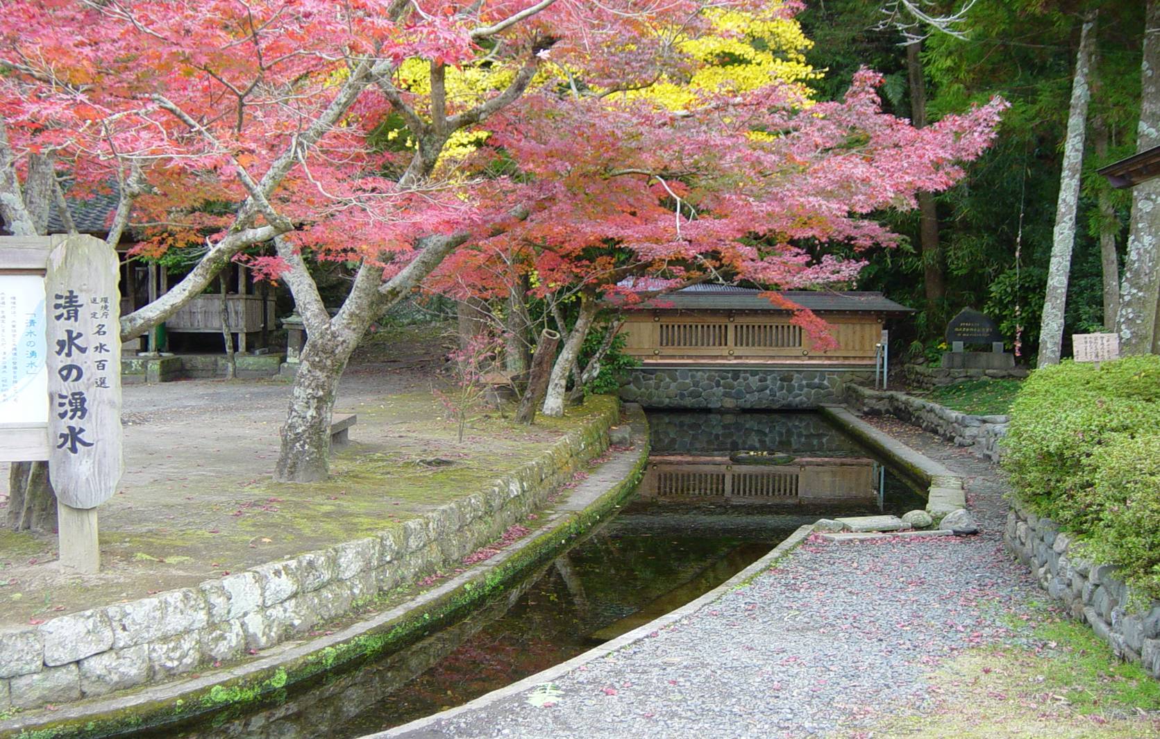 清水の湧水