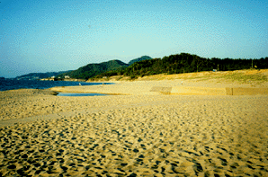 琴引浜の鳴き砂