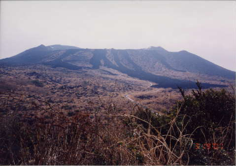 伊豆大島