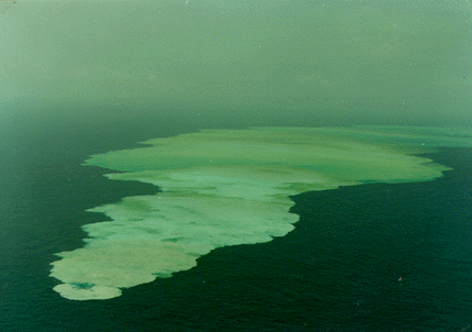 海徳海山