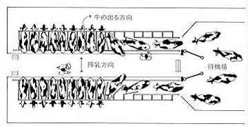 後ろ搾りパーラー