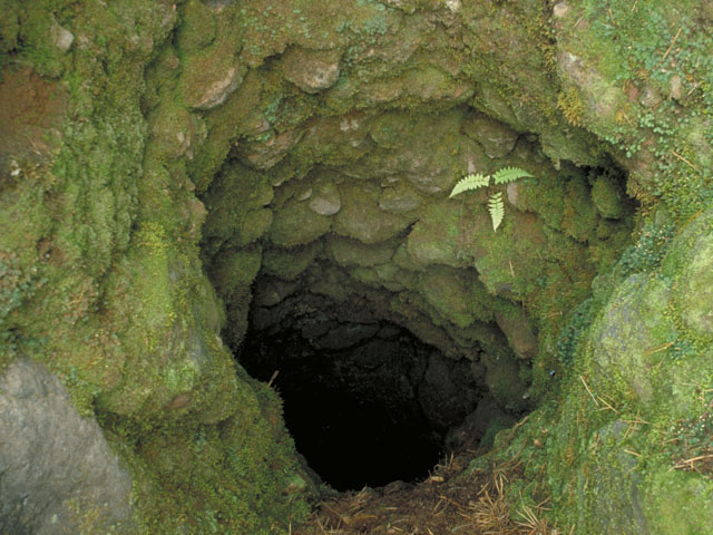 溶岩樹形の画像