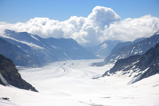 アレッチ氷河の画像