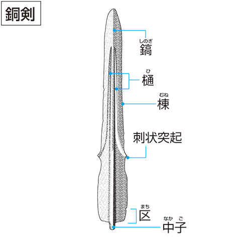 樋の画像