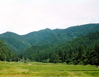 七滝水源かん養保安林