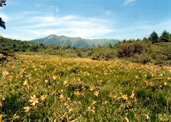 七千山水源の森