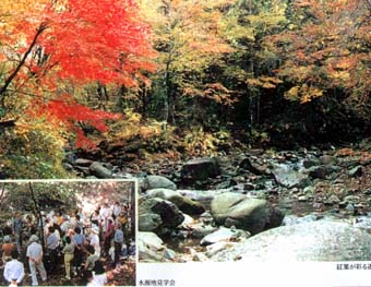 横浜市有道志水源かん養林