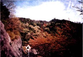 奥山雨山自然公園