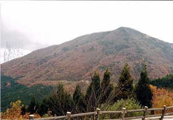 出立山町民の森