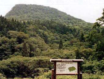 冠山水源の森