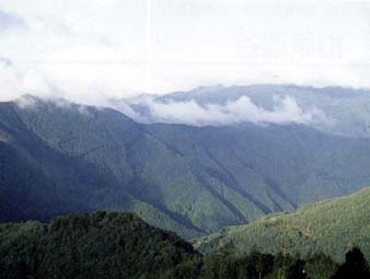 大滝山方水源の森