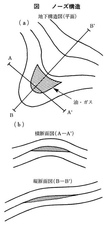 ノーズ構造