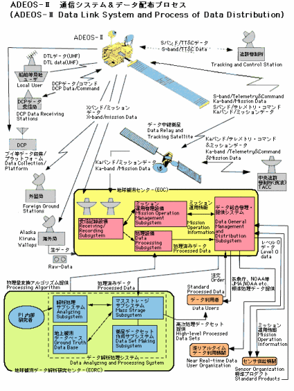 みどりII